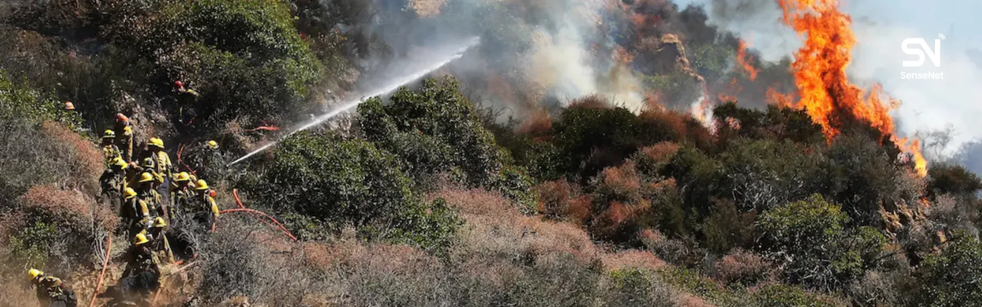 AI forest fire detection