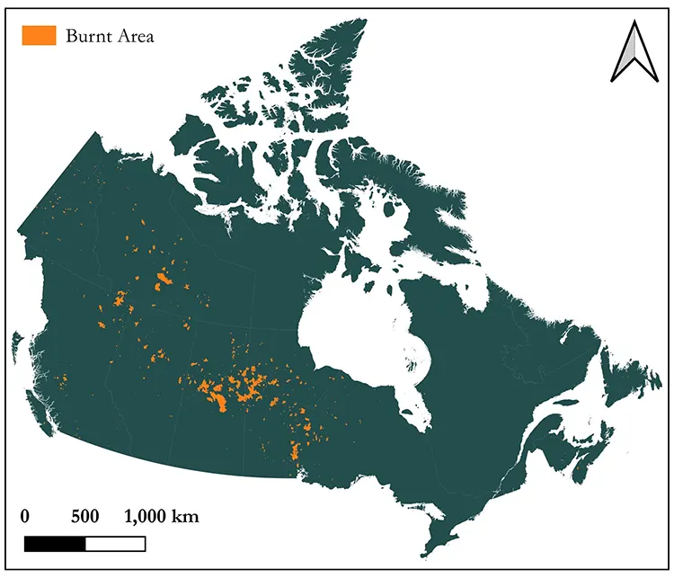 Figure 3. Burned area polygon map of Canada 2025