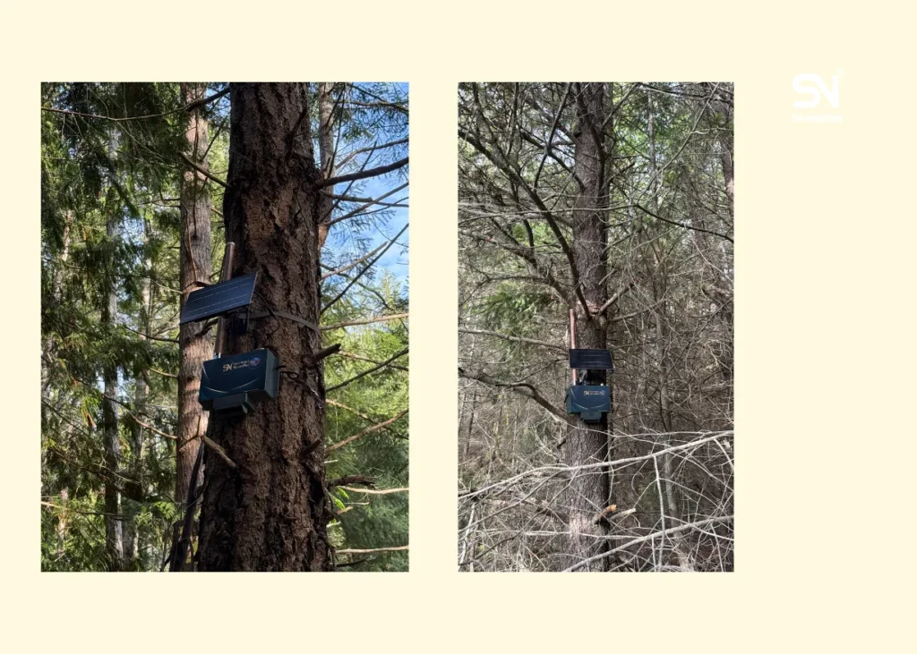 Sustainable Forestry Tools