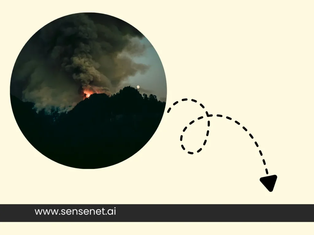 Wildfire Detection Satellites