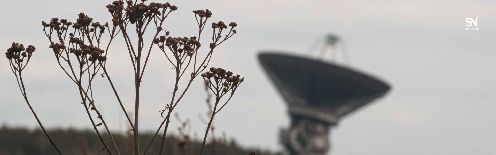 Wildfire Detection Satellites