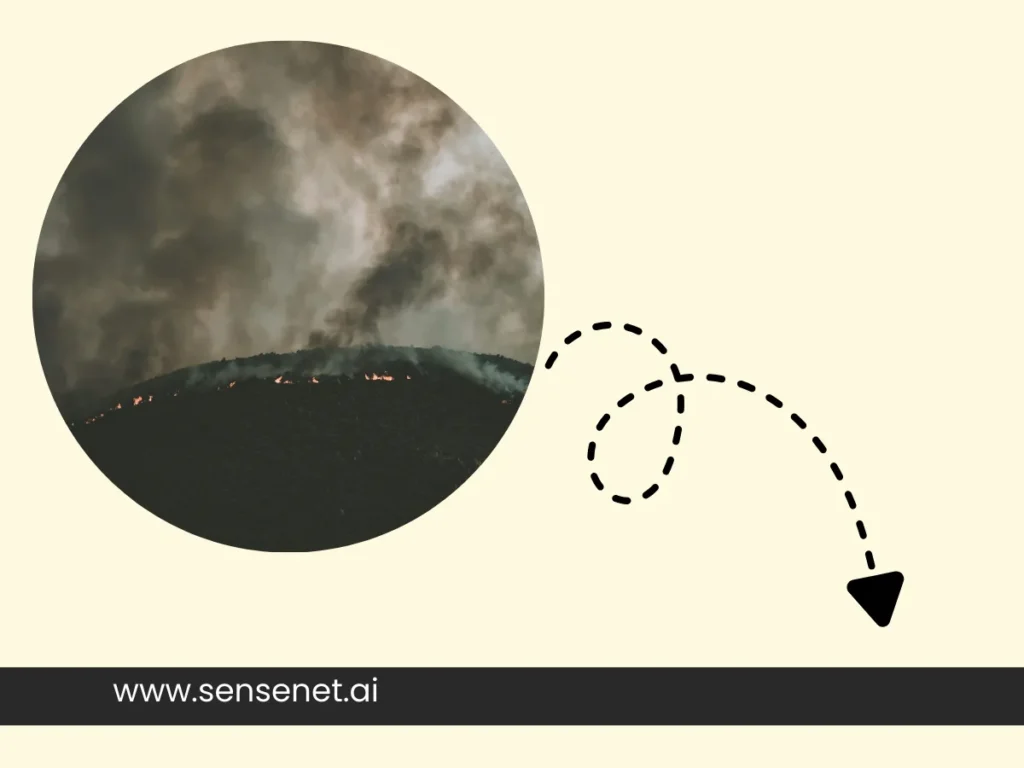 Wildfire Detection Satellites