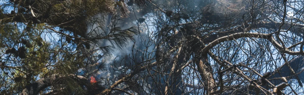 FireSmart