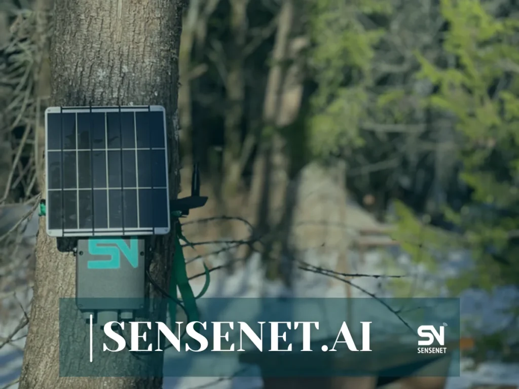 Predicting Forest Fires