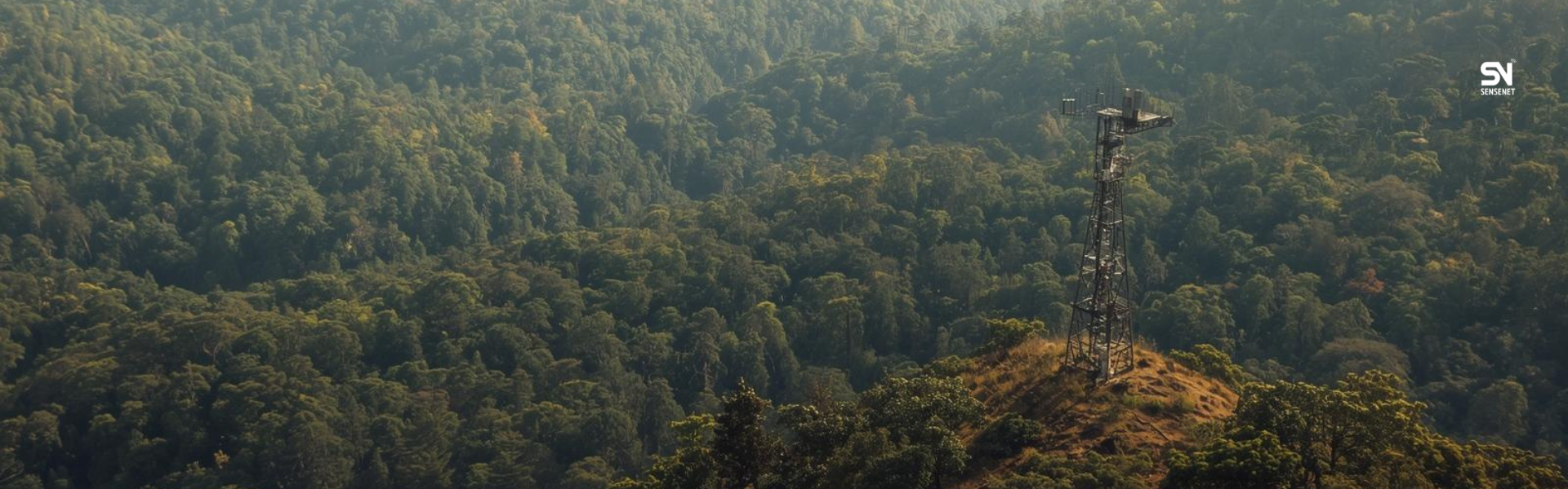 Forest fire smoke detector maintenance checklist