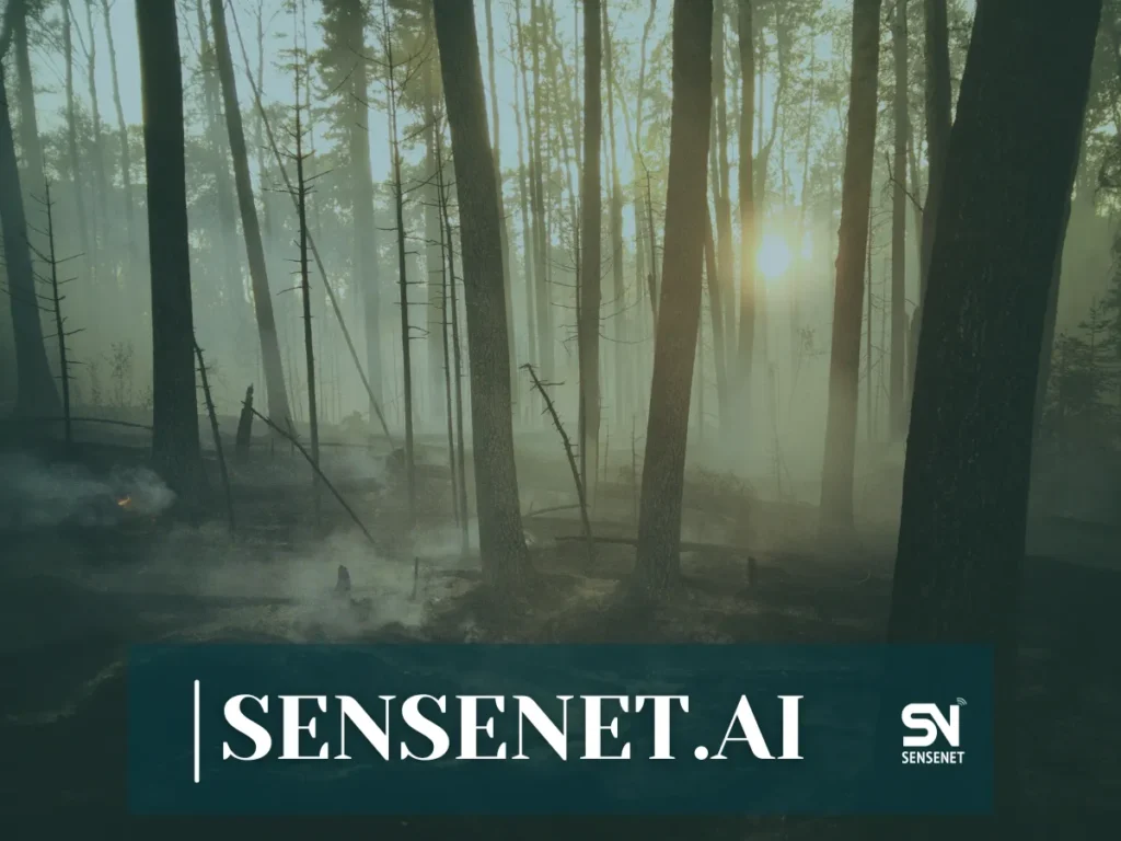 Cost–Benefit Analysis of Early Wildfire Detection Systems