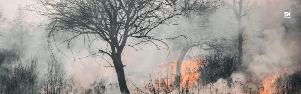 Cost–Benefit Analysis of Early Wildfire Detection Systems