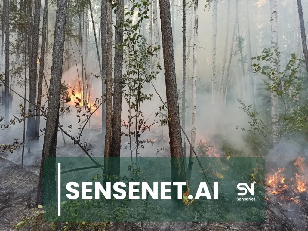 Rapid Response Planning After Early Wildfire Detection