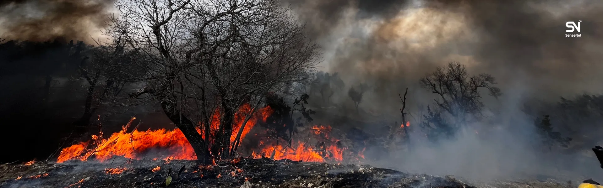 Real-Time Wildfire Detection