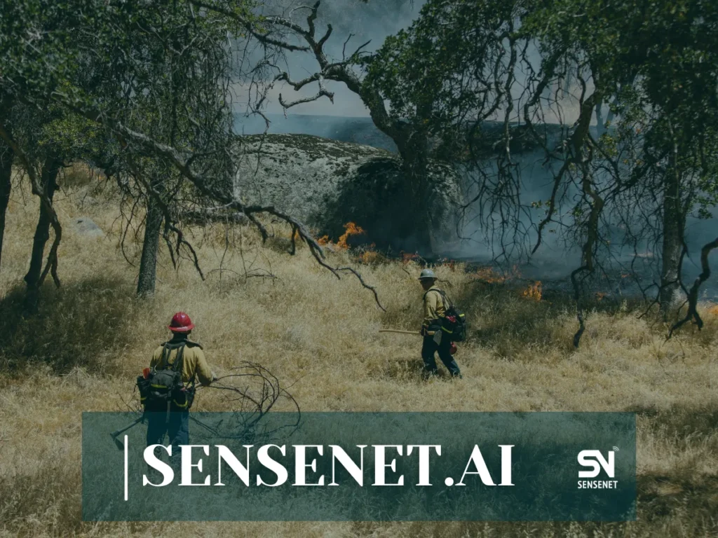 Wildfire Risk Management in National Parks
