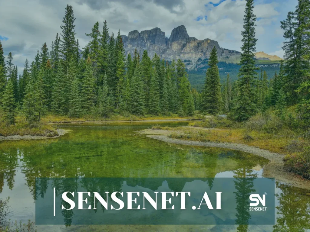 Wildfire Risk Management in National Parks