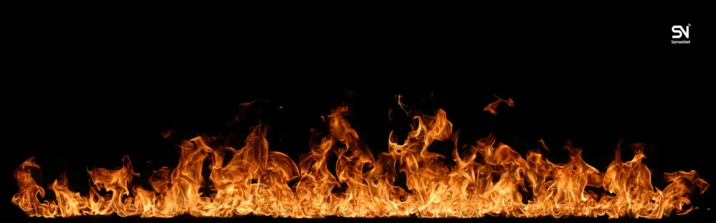 Fire Management in Forests