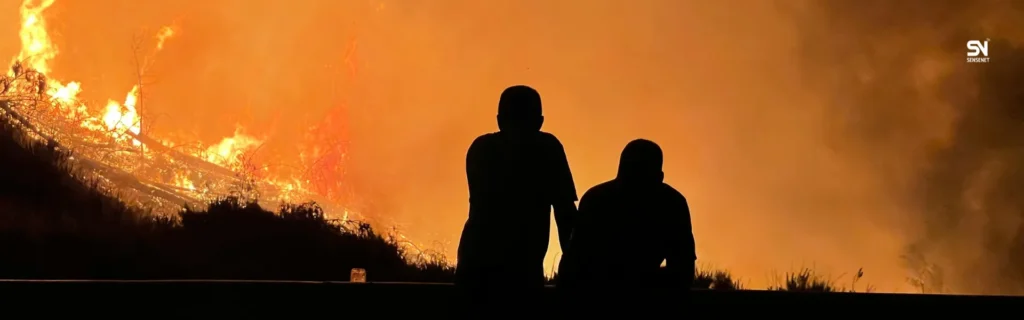 wildfire detection system integration