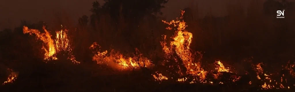 The Causes of Wildfire