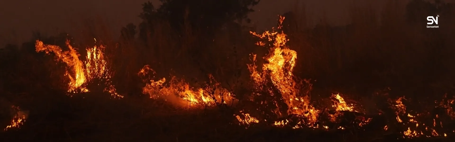 The Causes of Wildfire