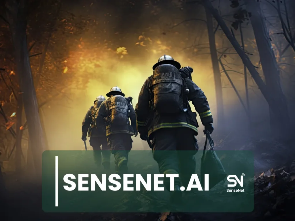 The Causes of Wildfire