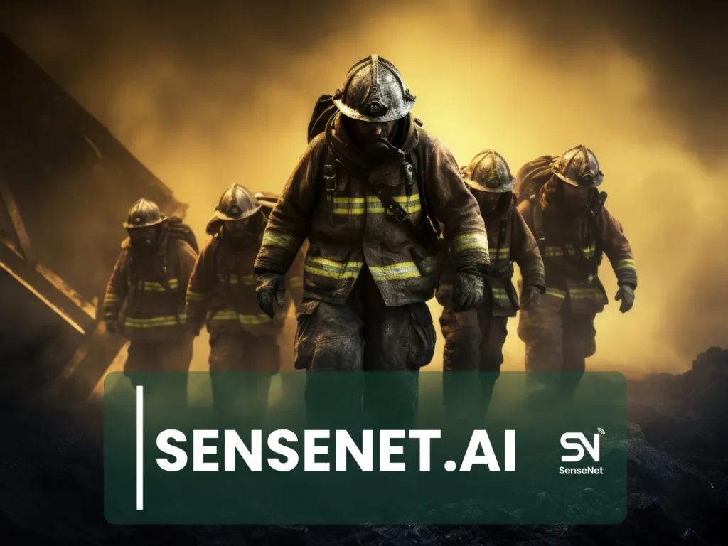 The Causes of Wildfire