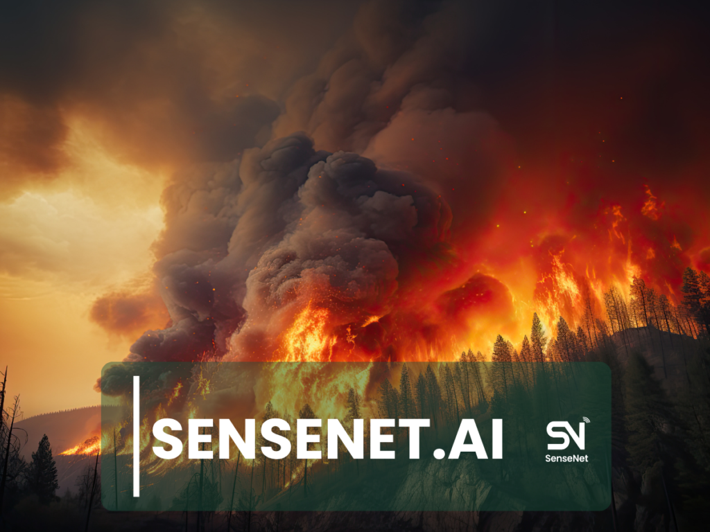 Wildfire-Resistant Forests