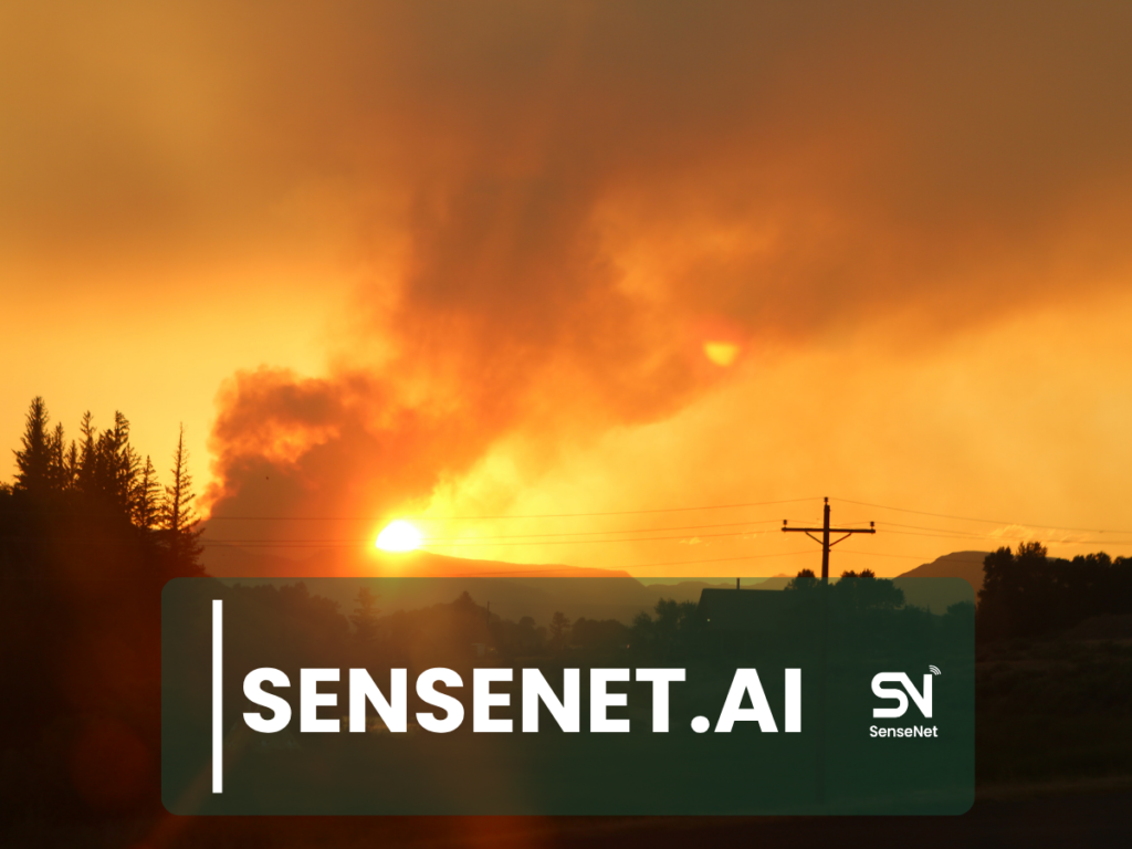 Wildfire-Resistant Forests