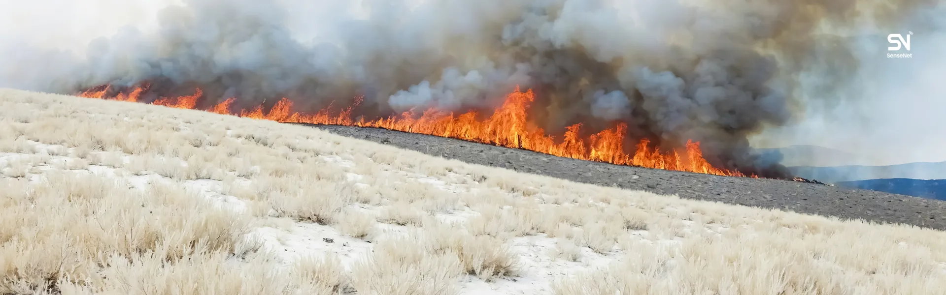 prescribed burning