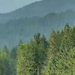 Wildfire Detection Technology