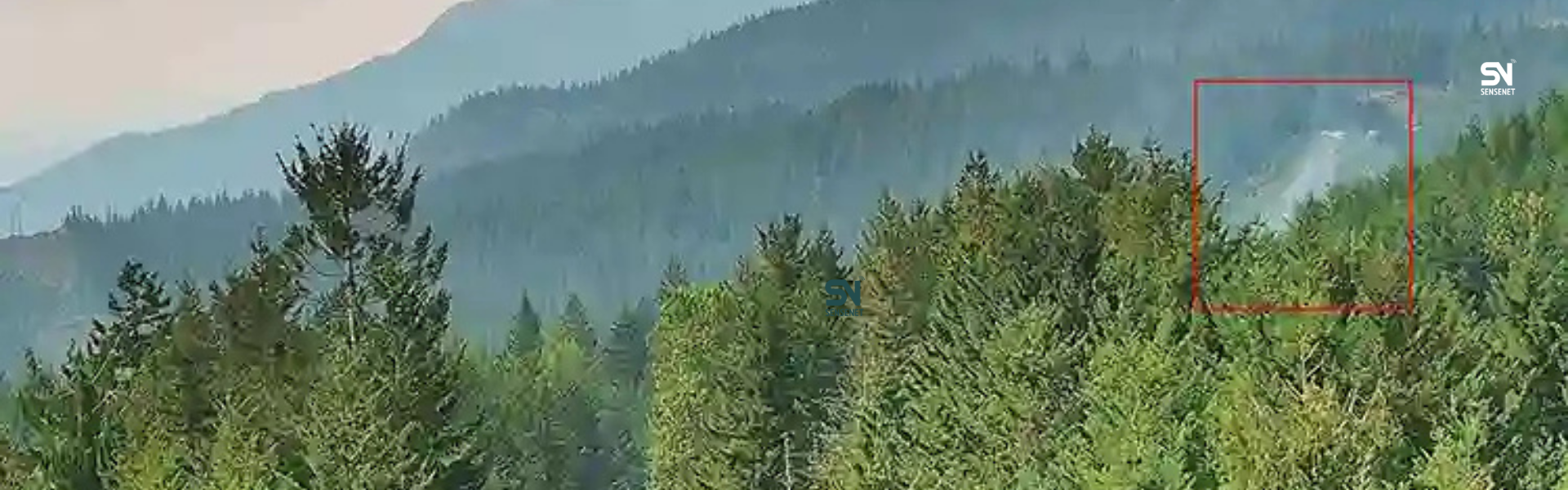 Wildfire Detection Technology