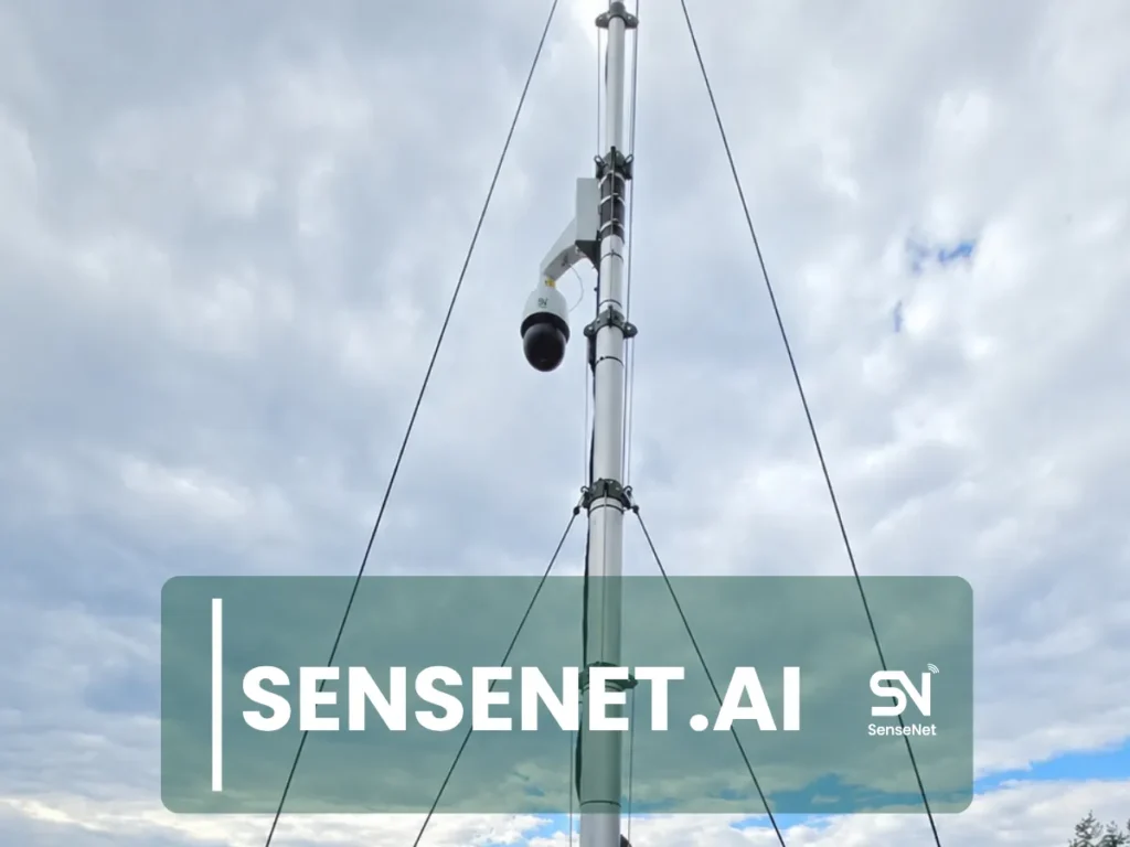Wildfire Detection in Remote Areas