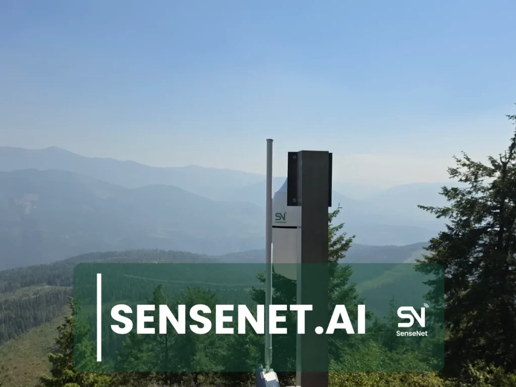 Wildfire Detection in Remote Areas