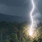 How Lightning Starts Wildfires
