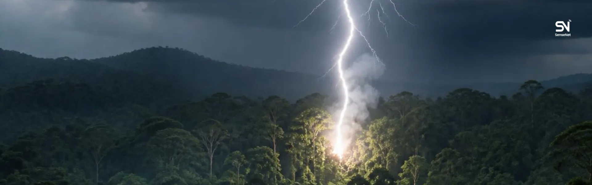 How Lightning Starts Wildfires