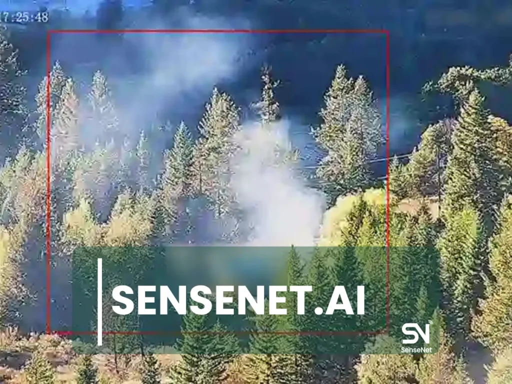 How Lightning Starts Wildfires