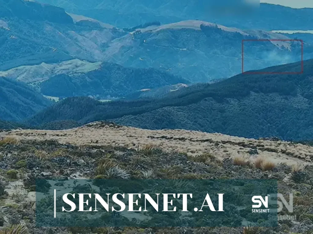 Wildfire Detection from Satellite Images