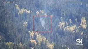 wildfire early detection