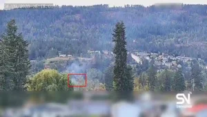wildfire early detection
