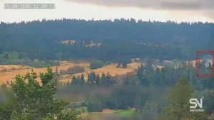 Forest fire early detection by Sensenet AI