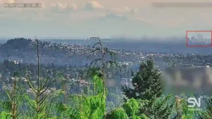 Forest fire early detection with SenseNet AI