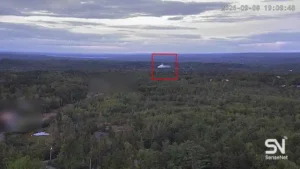 Wildfire Early Detection by SenseNet AI