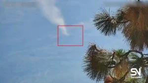 Wildfire Early Detection by SenseNet AI