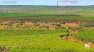 Wildfire early detection