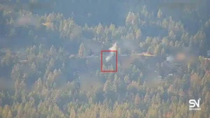 Wildfire early detection