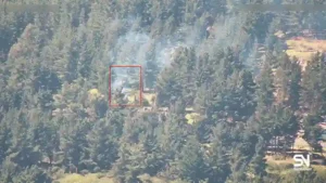 wildfire early detection