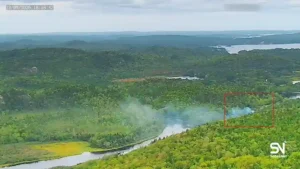 forest fire early detection