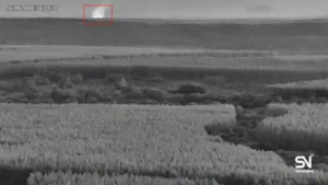forest fire early detection