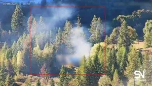 wildfire early detection