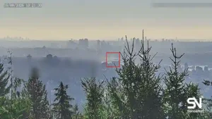 wildfire early detection