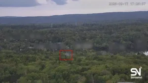 wildfire early detection