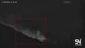 wildfire early detection