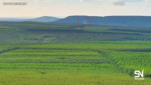 wildfire early detection