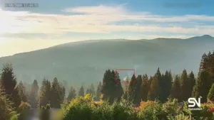 wildfire early detection