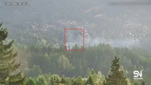 wildfire early detection